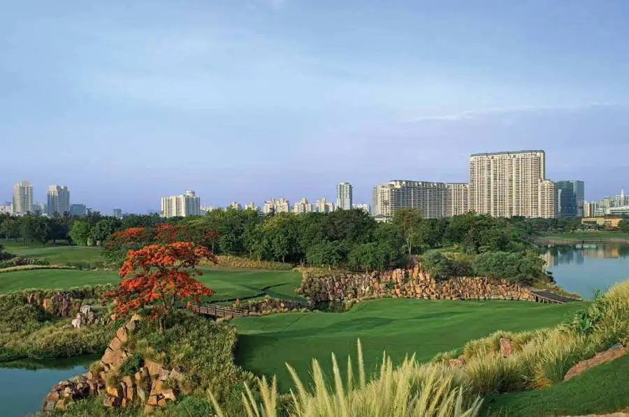 dlf the camellias
